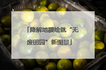 降解地膜绘就“无废田园”新图景