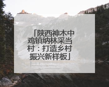 陕西神木中鸡镇纳林采当村：打造乡村振兴新样板