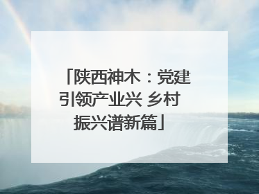 陕西神木：党建引领产业兴 乡村振兴谱新篇