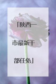 陕西一市最新干部任免