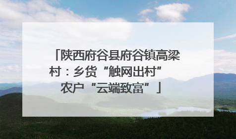 陕西府谷县府谷镇高梁村：乡货“触网出村” 农户“云端致富”