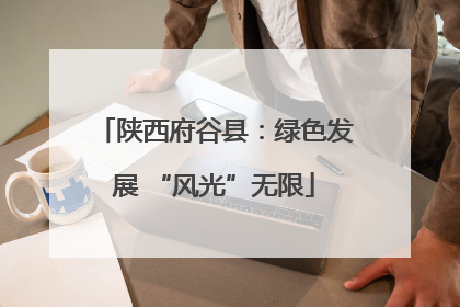 陕西府谷县：绿色发展 “风光”无限