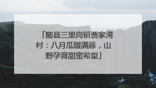 随县三里岗镇贾家湾村：八月瓜缀满藤，山野孕育甜蜜希望