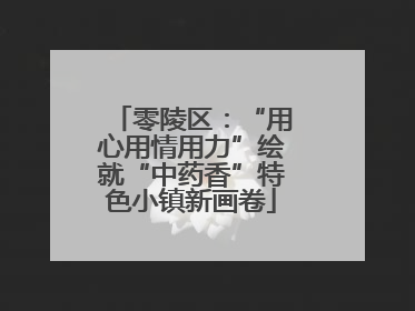 零陵区：“用心用情用力”绘就“中药香”特色小镇新画卷