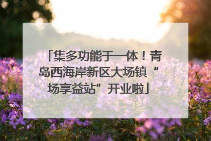 集多功能于一体！青岛西海岸新区大场镇“场享益站”开业啦
