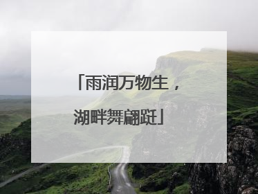 雨润万物生，湖畔舞翩跹