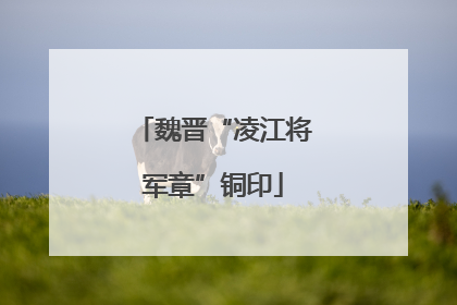 魏晋“凌江将军章”铜印