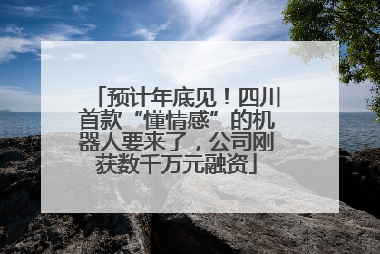 预计年底见！四川首款“懂情感”的机器人要来了，公司刚获数千万元融资