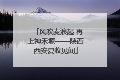 风吹麦浪起 再上神禾塬——陕西西安夏收见闻