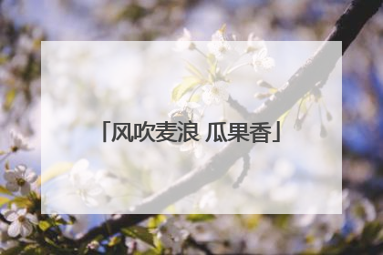 风吹麦浪 瓜果香