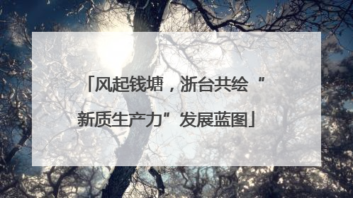风起钱塘，浙台共绘“新质生产力”发展蓝图