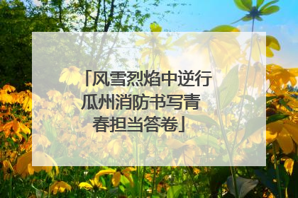 风雪烈焰中逆行 瓜州消防书写青春担当答卷