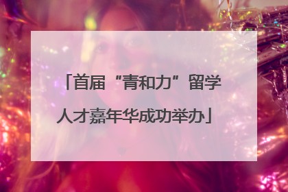 首届“青和力”留学人才嘉年华成功举办