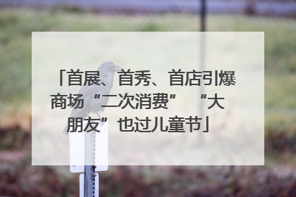 首展、首秀、首店引爆商场“二次消费” “大朋友”也过儿童节
