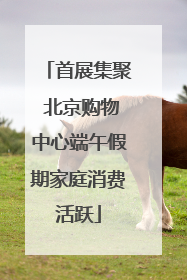 首展集聚 北京购物中心端午假期家庭消费活跃