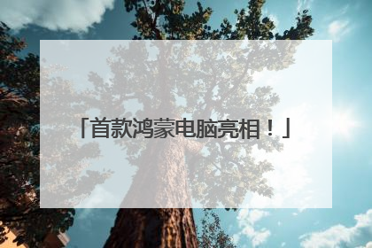 首款鸿蒙电脑亮相！