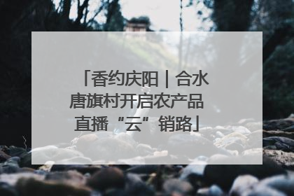 香约庆阳｜合水唐旗村开启农产品直播“云”销路