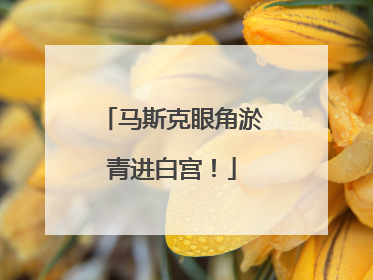 马斯克眼角淤青进白宫！