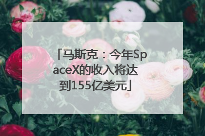 马斯克：今年SpaceX的收入将达到155亿美元