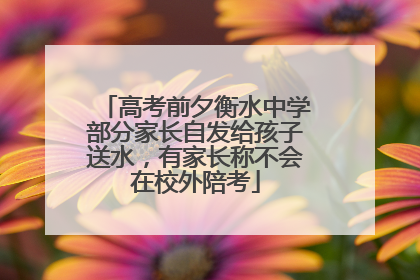 高考前夕衡水中学部分家长自发给孩子送水，有家长称不会在校外陪考
