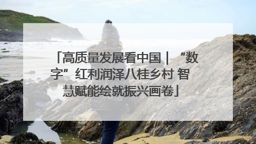 高质量发展看中国｜“数字”红利润泽八桂乡村 智慧赋能绘就振兴画卷