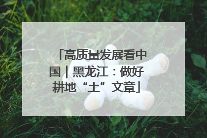 高质量发展看中国｜黑龙江：做好耕地“土”文章