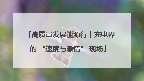 高质量发展能源行丨充电界的 “速度与激情” 现场