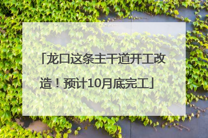 龙口这条主干道开工改造！预计10月底完工