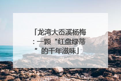 龙湾大岙溪杨梅：一颗“红盘绿蒂”的千年滋味