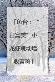 鱼台：“白富美”小龙虾跳动增收音符