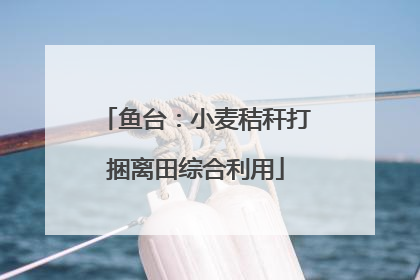 鱼台：小麦秸秆打捆离田综合利用