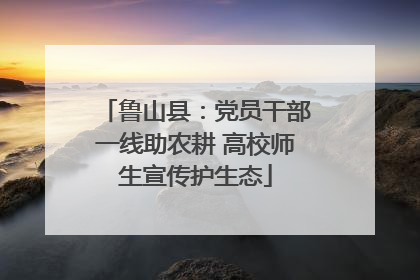 鲁山县：党员干部一线助农耕 高校师生宣传护生态