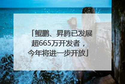 鲲鹏、昇腾已发展超665万开发者，今年将进一步开放