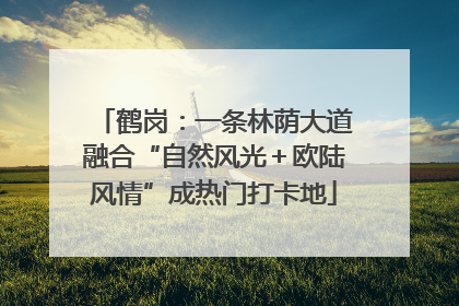 鹤岗：一条林荫大道融合“自然风光＋欧陆风情”成热门打卡地