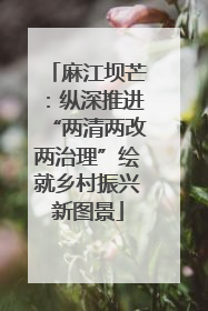 麻江坝芒：纵深推进“两清两改两治理”绘就乡村振兴新图景