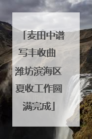 麦田中谱写丰收曲 潍坊滨海区夏收工作圆满完成
