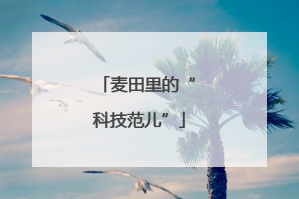 麦田里的“科技范儿”