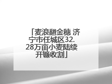 麦浪翻金穗 济宁市任城区32.28万亩小麦陆续开镰收割