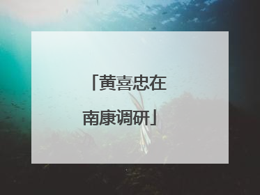 黄喜忠在南康调研