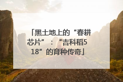 黑土地上的“春耕芯片”：“吉科稻518”的育种传奇