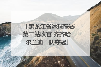 黑龙江省冰球联赛第二站收官 齐齐哈尔兰迪一队夺冠