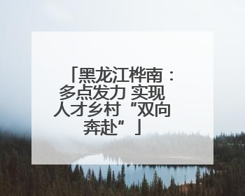 黑龙江桦南：多点发力 实现人才乡村“双向奔赴”