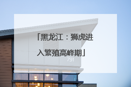 黑龙江：狮虎进入繁殖高峰期