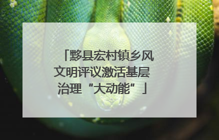 黟县宏村镇乡风文明评议激活基层治理“大动能”