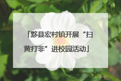 黟县宏村镇开展“扫黄打非”进校园活动