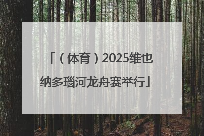 （体育）2025维也纳多瑙河龙舟赛举行