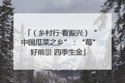 （乡村行·看振兴）“中国瓜菜之乡”：“莓”好前景 四季生金