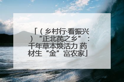 （乡村行·看振兴）“正北芪之乡”：千年草本焕活力 药材生“金”富农家