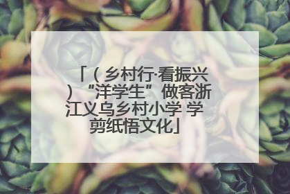 （乡村行·看振兴）“洋学生”做客浙江义乌乡村小学 学剪纸悟文化