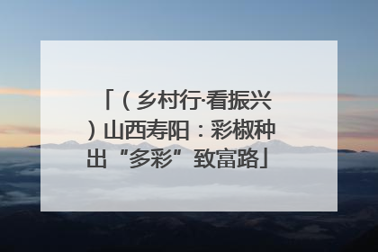 （乡村行·看振兴）山西寿阳：彩椒种出“多彩”致富路